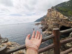 -杨梅坑