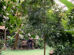 -呀路古热带植物园