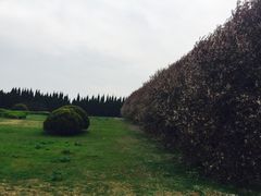 -秦始皇帝陵博物院-丽山园