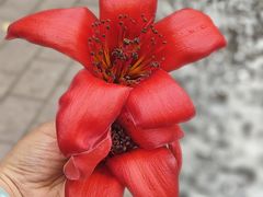 -锦江之星(广州海珠江泰路地铁站店)