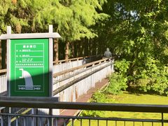 -月湖风景区