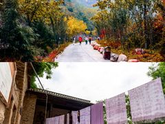 -云丘山景区