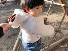 -意大利农场度假村