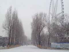 -哈尔滨文化公园