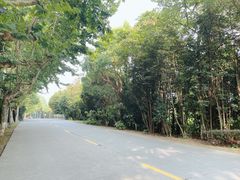 -太阳岛度假酒店