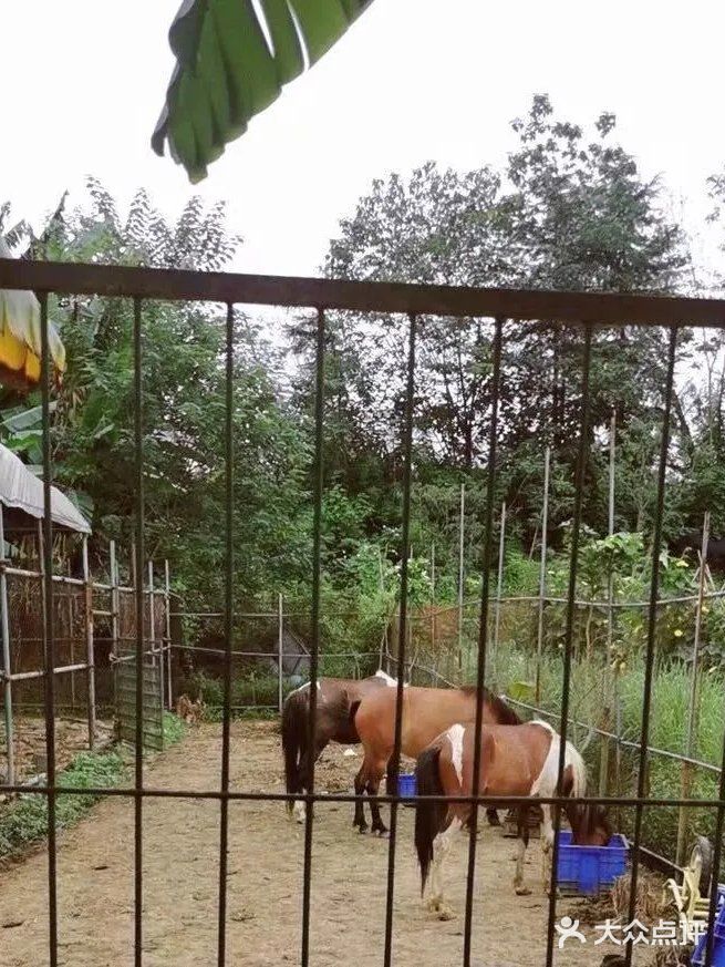 周末朋友聚会休闲圣地[加油]