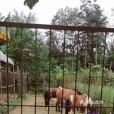周末朋友聚会休闲圣地[加油]