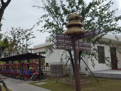 -上海长兴岛郊野公园