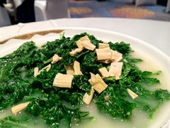 -西湖春天(中州店)