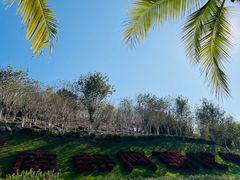 -三亚南山文化旅游区