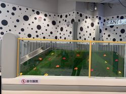 -米兜欢乐王国·儿童乐园(宝安益田假日天地店)