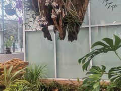 -国家植物园南园