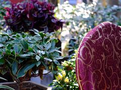 -国生茶庄·地道农家菜团建活动