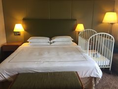 -新加坡瑞士史丹福酒店