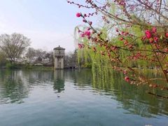 -紫霞湖公园