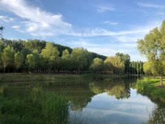 -东郊湿地公园