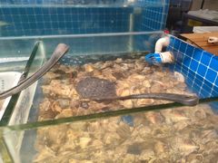 -深海聚汇·牛榴宴·自助料理(江宁万达店)