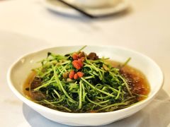 松茸豆苗-丰收日(五角场店)