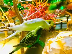 -酷嗒动物文化乐园(cutezoo西溪乐天城店)