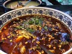 黄辣丁-青城甲(青城山店)