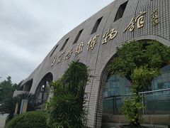 -自贡恐龙博物馆