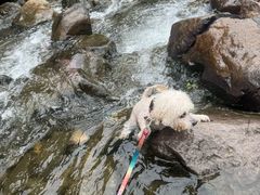 -安吉龙王山峡谷漂流