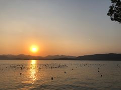 -湖滨28中餐厅·西湖宴·杭州君悦酒店