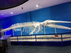 -福州罗源湾海洋世界旅游区