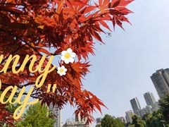 -龙头寺公园