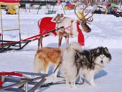 -长白山万达喜来登度假酒店