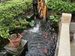 -顺德了能馆(虎门店)