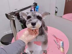 -艾贝尔宠物医院·狂犬免疫点(江山金象城店)