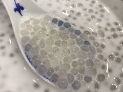 椰汁西米露-赵记传承·中式甜品(珠海香洲柠溪大道店)