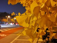 -中国数码港大厦