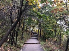 -帽儿山国家森林公园