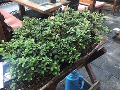 -丽江庭院之爱在路上(西单店)