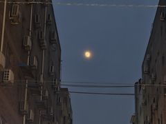 -魏家凉皮(文景路店)