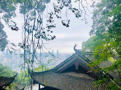 -南山植物园