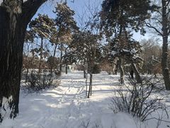 -长春市南湖公园