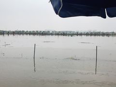 -梁鸿国家湿地公园