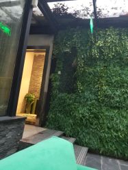 -苏瑜伽