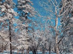 -哈尔滨热雪奇迹