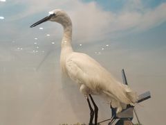 -下渚湖国家湿地公园科普馆