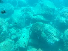 -亚龙湾海底世界