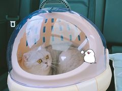 -谐和益家动物医院·免疫绝育·血液透析·宠保定点医院(高新伊藤分院)