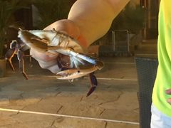 -三亚海韵度假酒店·渔人码头海鲜火锅BBQ自助餐厅·落日吧