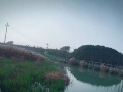 -乌村