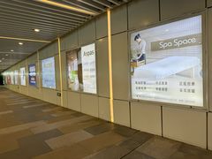 -松鹤楼·苏式汤面(虹桥天地店)