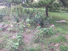 -北京小汤山医院体检中心