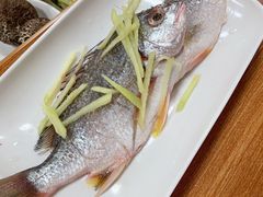 黄翅鱼-船奇蒸汽海鲜·闽菜(八市海鲜总店)